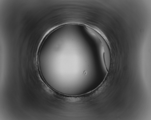 X0000086310996200704131627