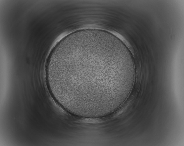 X0000086310998200704131627