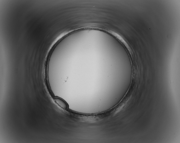 X0000086310999200704131627