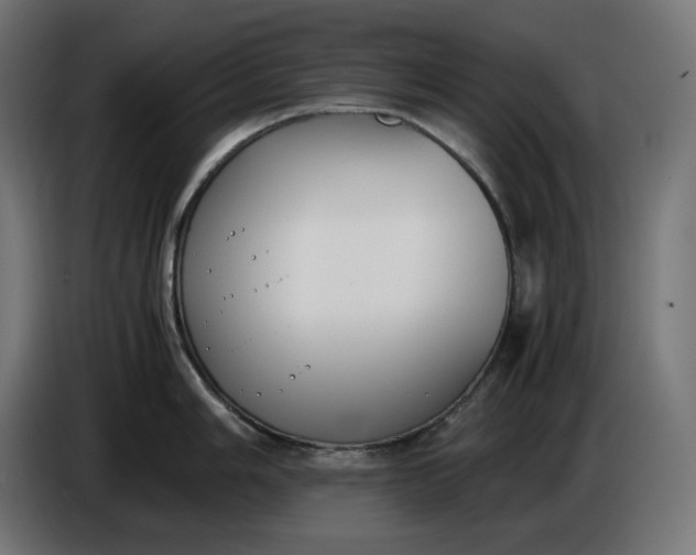 X0000086311006200704131627