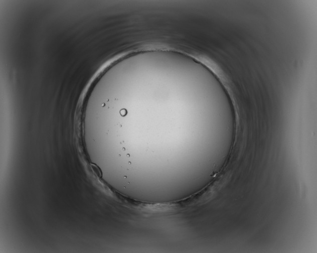 X0000086311008200704131627