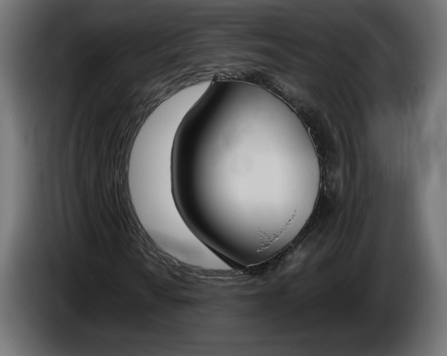 X0000086311010200704131626