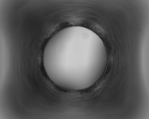 X0000086311012200704131626