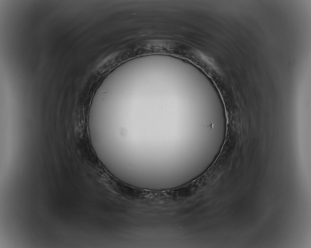 X0000086311015200704131626