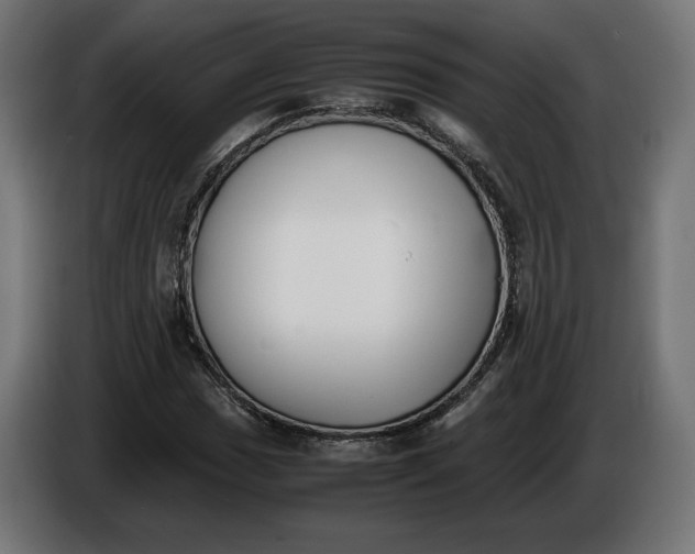 X0000086311017200704131626
