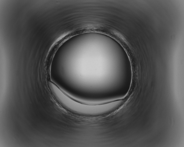 X0000086311018200704131627