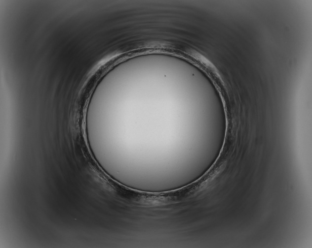 X0000086311019200704131627