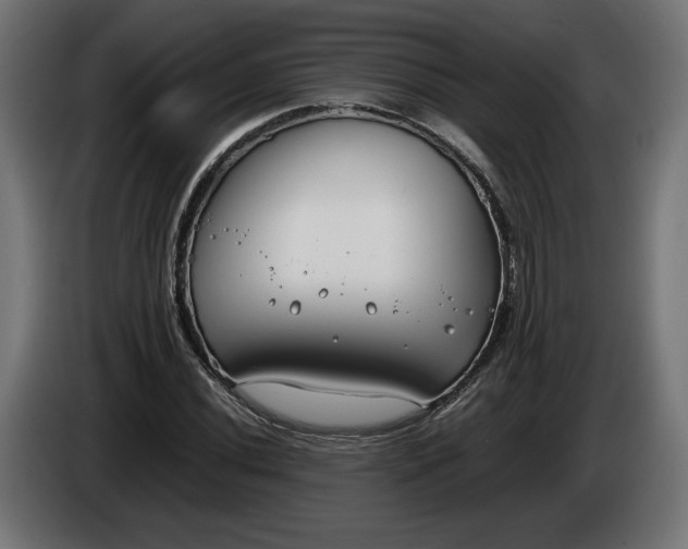 X0000086311020200704131627