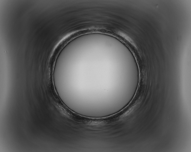 X0000086311021200704131627