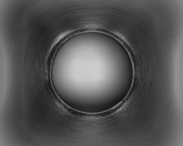 X0000086311022200704131627