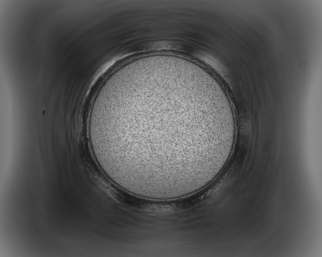 X0000086311023200704131627