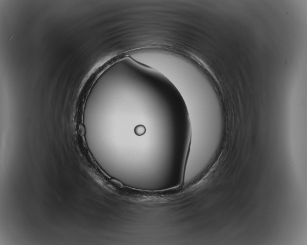 X0000086311026200704131627