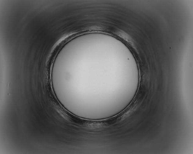 X0000086311027200704131627