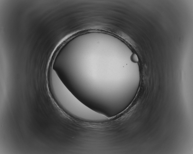 X0000086311028200704131627