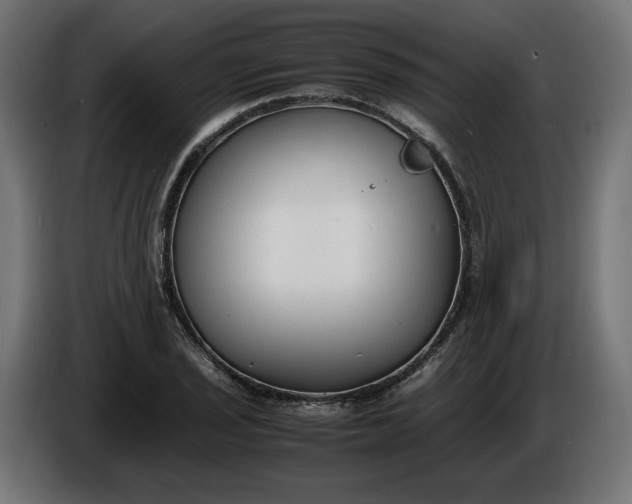 X0000086311029200704131627