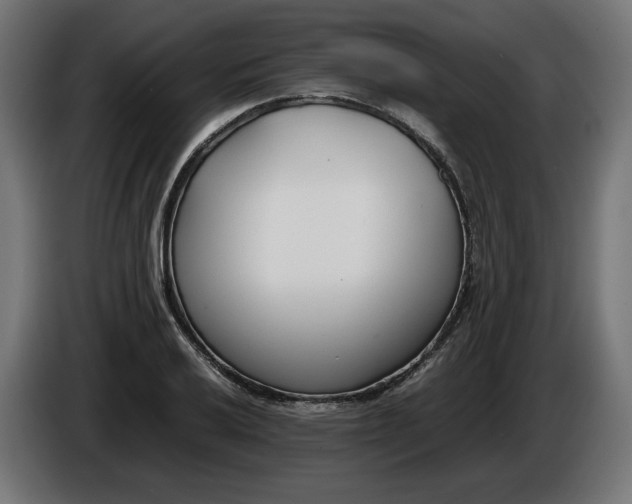 X0000086311032200704131627