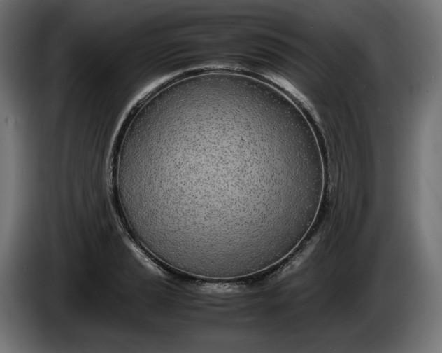 X0000086311037200704131627