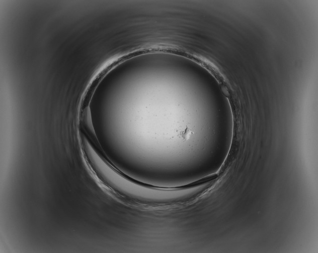 X0000086311038200704131627