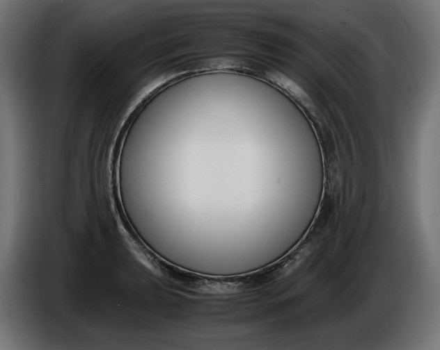 X0000086311039200704131627
