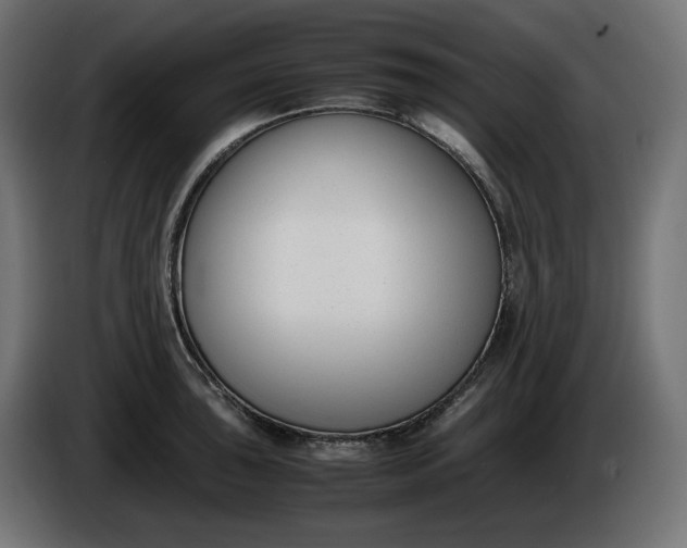 X0000086311043200704131627