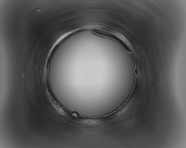 X0000086311044200704131627