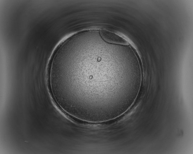 X0000086311045200704131627