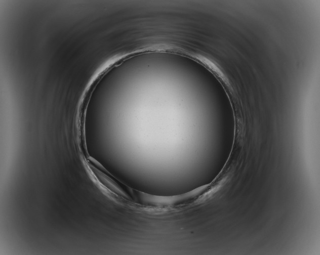 X0000086311046200704131627