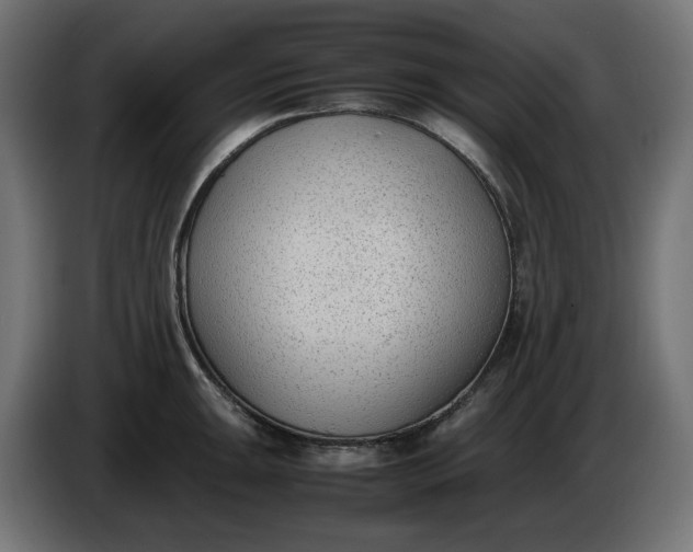 X0000086311047200704131627