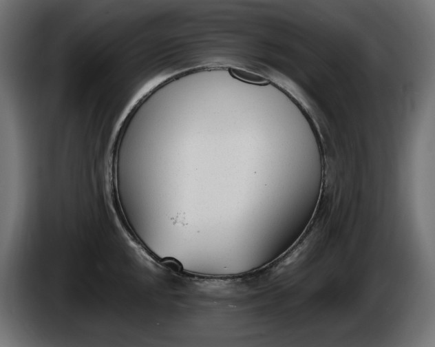 X0000086311048200704131627