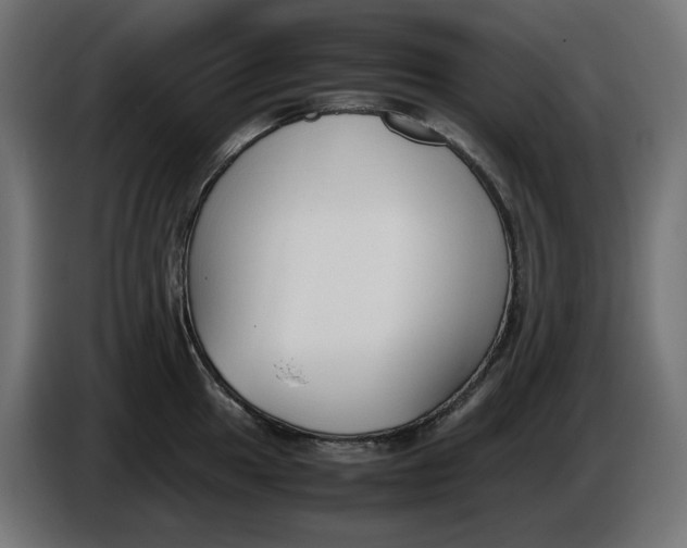 X0000086311049200704131627