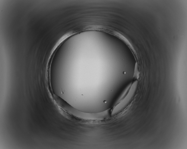 X0000086311050200704131627