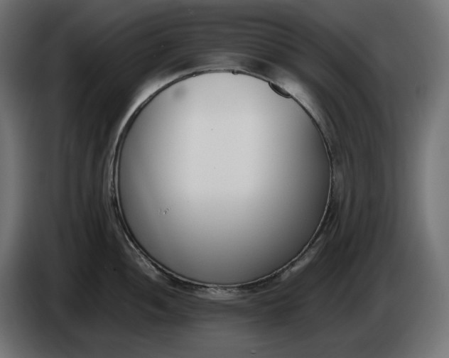X0000086311052200704131627