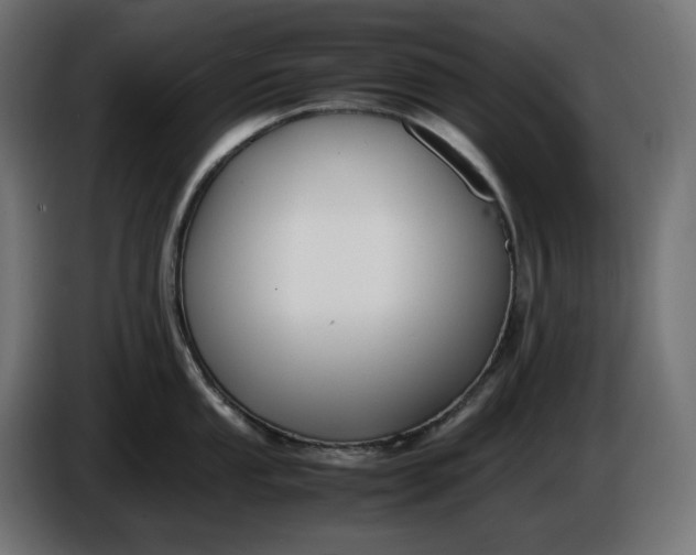 X0000086311053200704131627