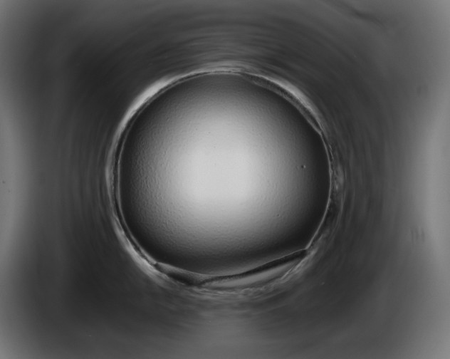X0000086311054200704131627