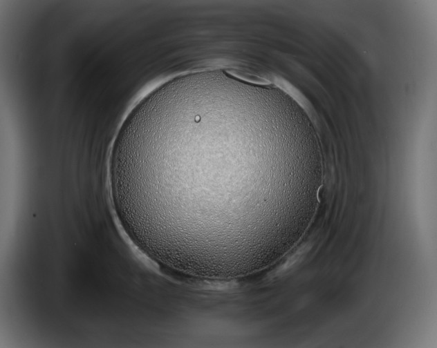 X0000086311055200704131627