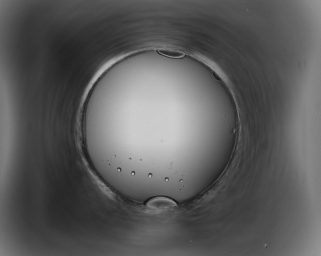 X0000086311056200704131627