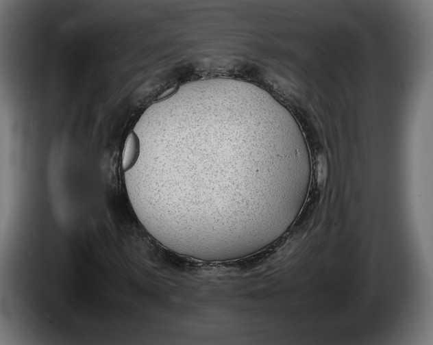 X0000086311059200704131626
