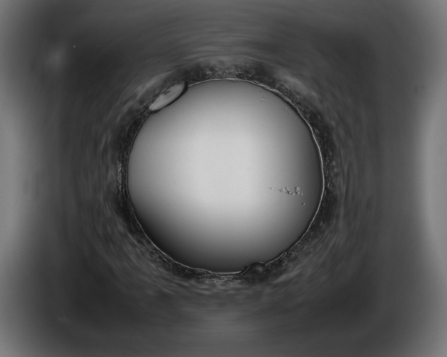 X0000086311061200704131626
