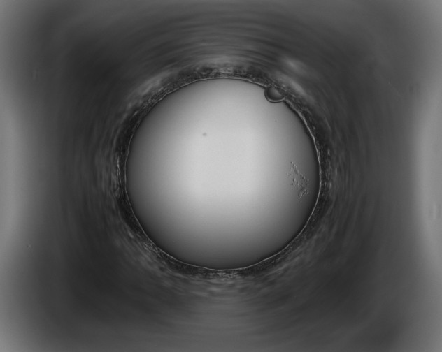 X0000086311062200704131626