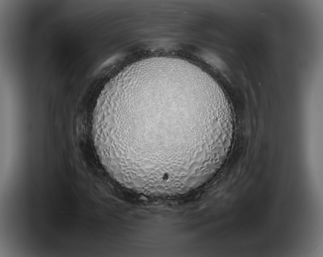 X0000086311063200704131626