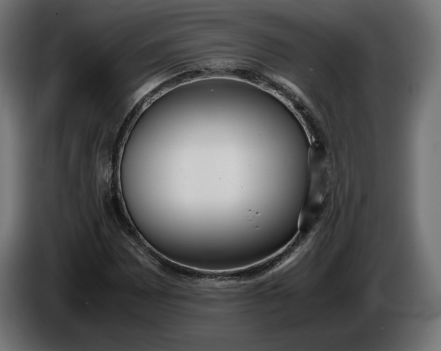 X0000086311065200704131626