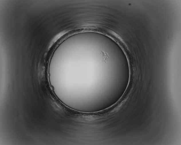 X0000086311066200704131626