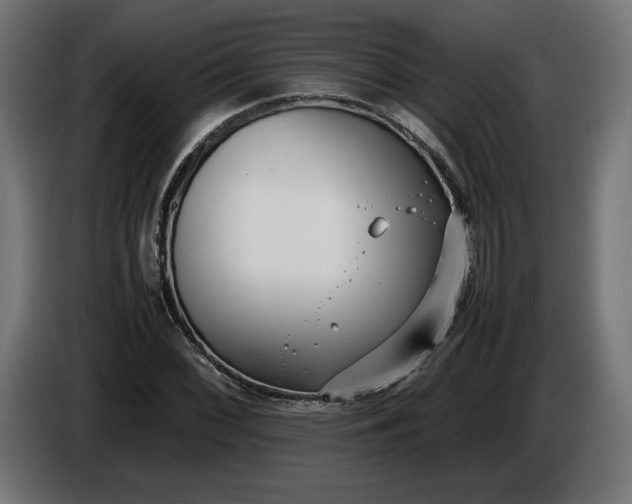 X0000086311068200704131626