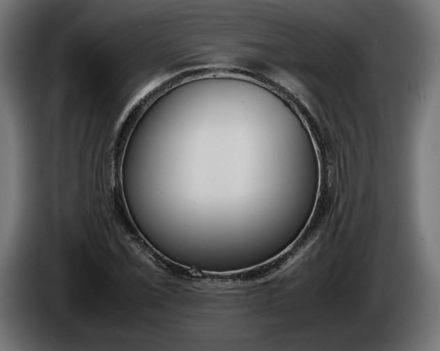 X0000086311069200704131626