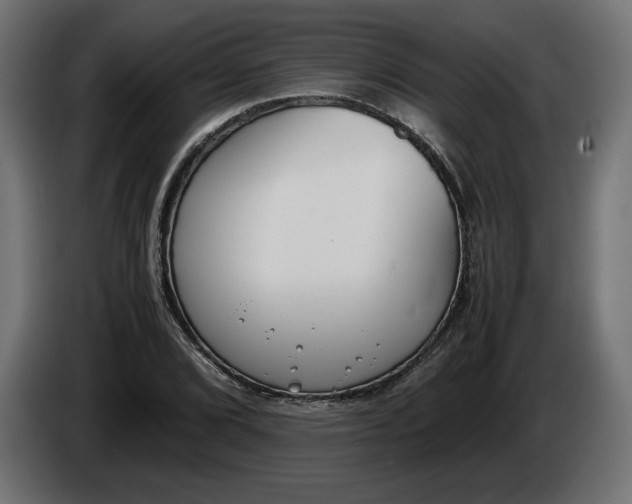 X0000086311072200704131626