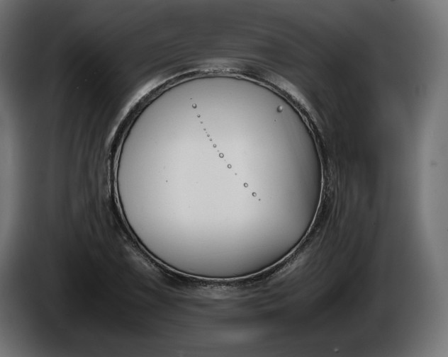 X0000086311075200704131626