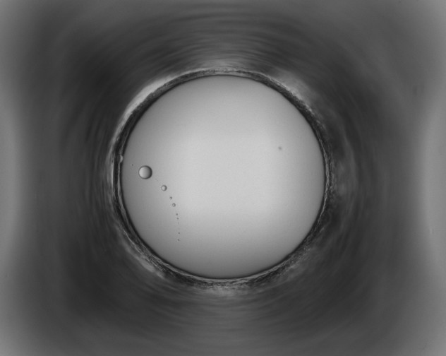 X0000086311078200704131626