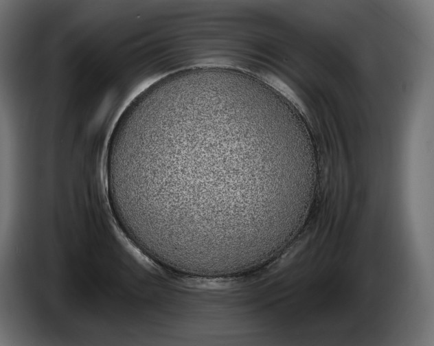 X0000086311084200704131626