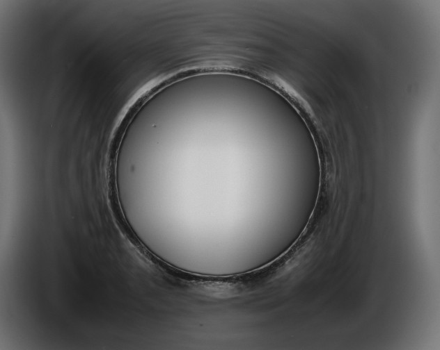 X0000086311085200704131626
