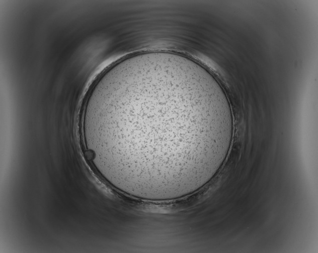 X0000086311086200704131626